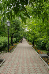 path in the park