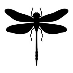 Dragonfly Insect Top View Silhouette Vector