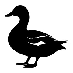 Graceful Duck Swimming Waterfowl Vector Illustration