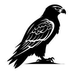 Powerful Falcon Hawk Bird of Prey Vector Illustration
