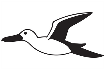 white duck vector illustration