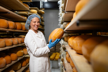 Food factory female worker checking quality of cheese wheels.