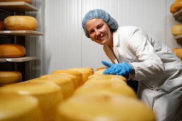 Making delicious cheese with love. Cheese factory worker checking structure and ripening status of...