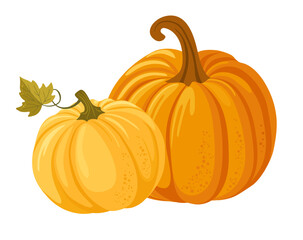 Colorful autumn pumpkins. Seasonal harvest design for greeting or poster.