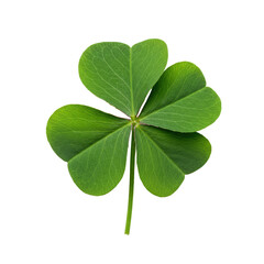 A single, perfectly symmetrical, vibrant green four-leaf clover with heart-shaped leaflets and a short stem, isolated against a pristine transparent background with ample copy space, top-down view,