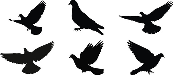 Obraz premium Bird silhouette vector collection, black flying pigeon shapes, outline of bird in flight for nature and wildlife design