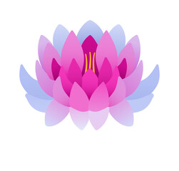 Flat Design Floral Set – Lotus for Invitations, Blog, and Presentation Graphics