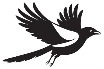 Fototapeta premium Magpie flying silhouette vector on white background