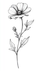 A simple line drawing of a flower with a happy face, in black and white with no shading