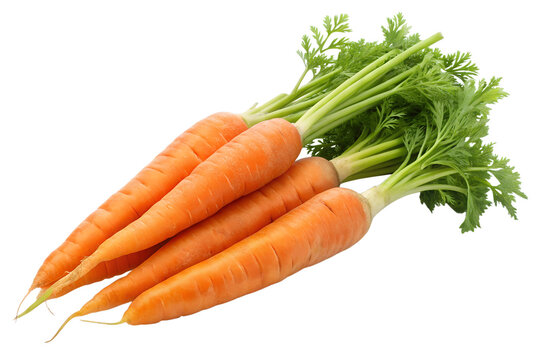 A vibrant arrangement of fresh, orange carrots isolated on transparent background, symbolizing healthy eating and natural goodness