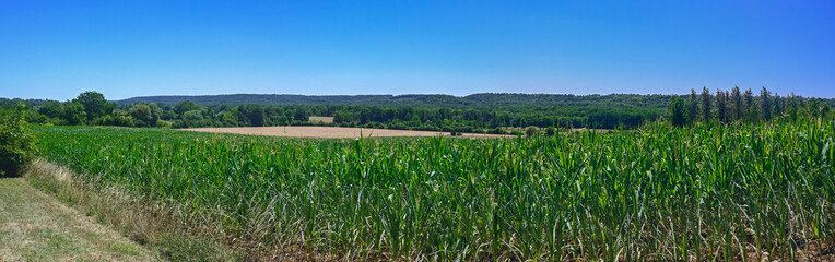 Panoramic photo of a cornfield in the foreground and forests in the background, against a clear blue sky. Location: Northern France