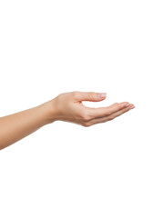 A young caucasian female hand, slender with light pink manicured nails, palm open upwards, isolated against a transparent studio background with soft shadowless lighting. Concept of offering and