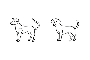 Two dogs standing side by side canine animals
