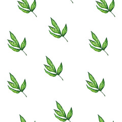 Watercolor green leaf seamless pattern. Perfect for wrapping, elegant background, decoration, textile.