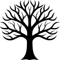 Obraz premium Bare Tree Silhouette