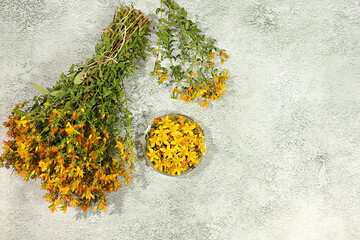 Bouquet of St. John's wort on a concrete table for collecting useful herbs and treatment according to folk recipes, Medicinal herbal tea, concept of alternative folk medicine,