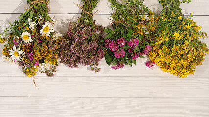 Bouquets with medicinal herbs, concept of alternative folk medicine, advertisement of green pharmacy, collection of useful herbs for treatment according to folk recipes