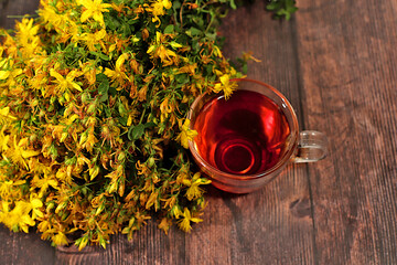 St. John's wort infusion in a glass with flowers, Medicinal herbal tea, alternative folk medicine concept, green pharmacy advertisement, collection of useful herbs for treatment according 