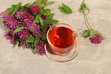 Clover infusion in a glass with a bouquet of flowers, Medicinal herbal tea, the concept of alternative folk medicine, advertising a green pharmacy, a collection of useful herbs for treatment according