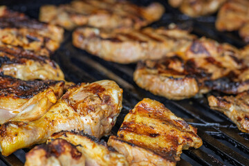 Delicious Grilled Meat and Poultry Cooking on a Hot Outdoor Barbecue