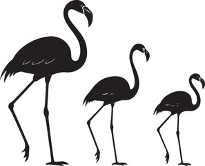 flamingo icon and vector