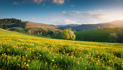 serene green meadow landscape capturing peaceful nature and lush grass fields in ai generated imagery spring landscape with yellow flowers