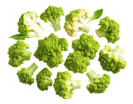 Autumn Harvest of Green Cauliflowers, isolated on a transparent background