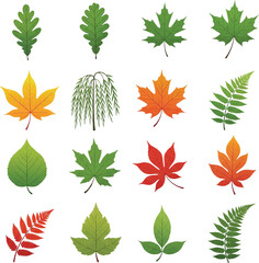 Fototapeta premium Diverse Collection of Tree and Plant Leaves Displaying Varied Shapes Textures and Fall Color Palettes in a Botanical Arrangement Against White Backdrop