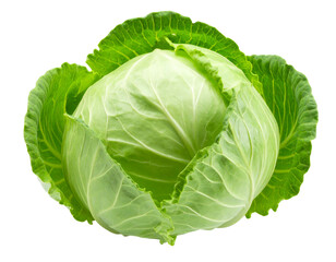 Fresh Organic Green Cabbage, isolated on a transparent background