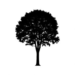 Silhouette of a tree with dense leaves on white background