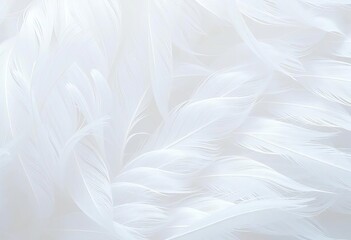 Fototapeta premium Delicate white feathers, softly overlapping, create a pure, ethereal texture, serene, natural