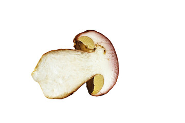 Porcini mushroom cross section with visible internal texture on transparent background. Isolated food object. Fresh slice of boletus edulis with worm traces
