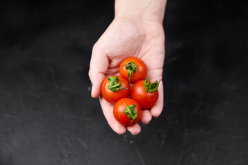 Hand holding fresh, ripe cherry tomatoes with vibrant red color and green stems, showcasing organic...