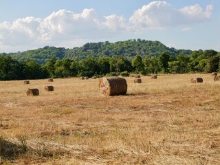 Hay bales in the field. Lazio region, Italy