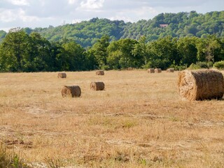 Hay bales in the field. Lazio region, Italy