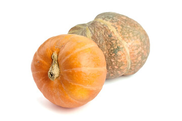 Two pumpkins, one vibrant orange and one mottled green, are positioned closely together on a white...