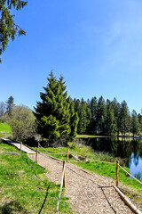 étang de la gruère, la gruère, See, Moorsee, Moor, Weiher, Hochmoor, Wanderweg, Wasserpflanzen, Wald, Waldweg, Holzsteg, Torfmoos, Jura, Naturschutz, Frühling, Sommer, Schweiz