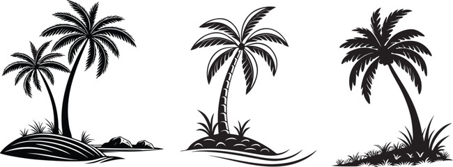 Obraz premium tropical palm trees