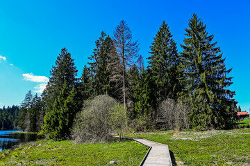 étang de la gruère, la gruère, See, Moorsee, Moor, Weiher, Hochmoor, Wanderweg, Spiegelung,...