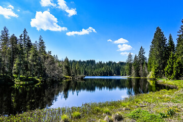 étang de la gruère, la gruère, See, Moorsee, Moor, Weiher, Hochmoor, Wanderweg, Spiegelung, Wasserpflanzen, Wald, Waldweg, Wasserpflanzen, Torfmoos, Jura, Naturschutz, Frühling, Sommer, Schweiz