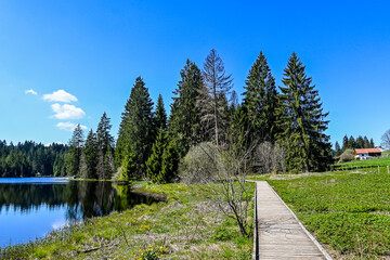 étang de la gruère, la gruère, See, Moorsee, Moor, Weiher, Hochmoor, Wanderweg, Holzsteg, Wasserpflanzen, Wald, Waldweg, Torfmoos, Jura, Naturschutz, Frühling, Sommer, Schweiz