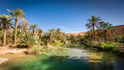 a lush oasis in the algerian desert bright summer daytime palm trees clear water green vegetation clear sky refreshing shade