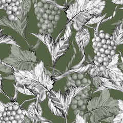 Grape vine branches with leaves and berries. Rich Seamless pattern, Hand drawn with pencil on green background. Graphic drawing. For food, packaging and cosmetics