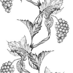 Grapevine branch with leaves and berries. Seamless border, Hand drawn with pencil. Graphic drawing. For food, packaging and cosmetics