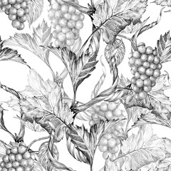 Grape vine branches with leaves and berries. Rich Seamless pattern, Hand drawn with pencil without background. Graphic drawing. For food, packaging and cosmetics