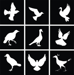 Collection of white bird silhouettes in various poses