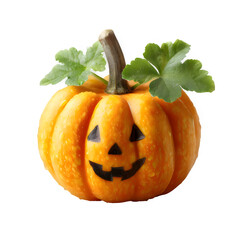 Orange pumpkin decor on transparent background