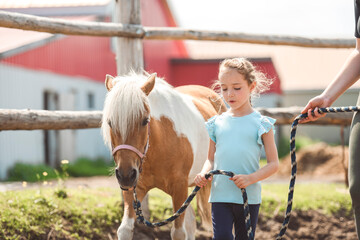 Cute little girl petting a pony in a farm