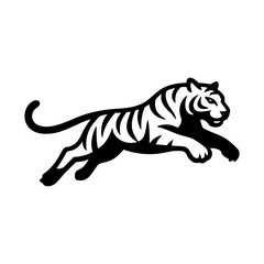 Fototapeta premium Tiger leaping forward