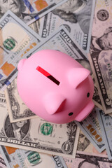 USA money, cash paper dollars, american business and financial transactions. Cash dollars